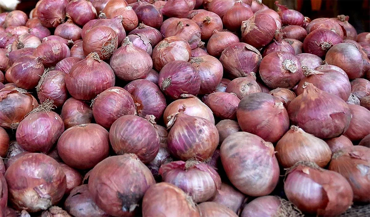 महाराष्ट्र सरकार ने कीमत स्थिरता के लिए केंद्र से प्याज निर्यात सब्सिडी दोगुनी करने का आग्रह किया