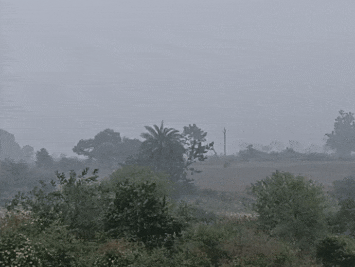 अशोकनगर में बारिश और कोहरे से बढ़ी ठंड:24 घंटे में ईसागढ़ में 14 मिमी बारिश, तापमान 18 डिग्री तक गिरा