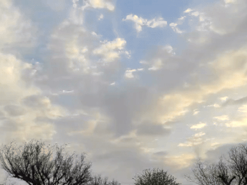 27 अक्टूबर से पूरे छत्तीसगढ़ में बारिश की संभावना:बंगाल में बने लो प्रेशर एरिया का असर; धान की फसल को नुकसान का खतरा