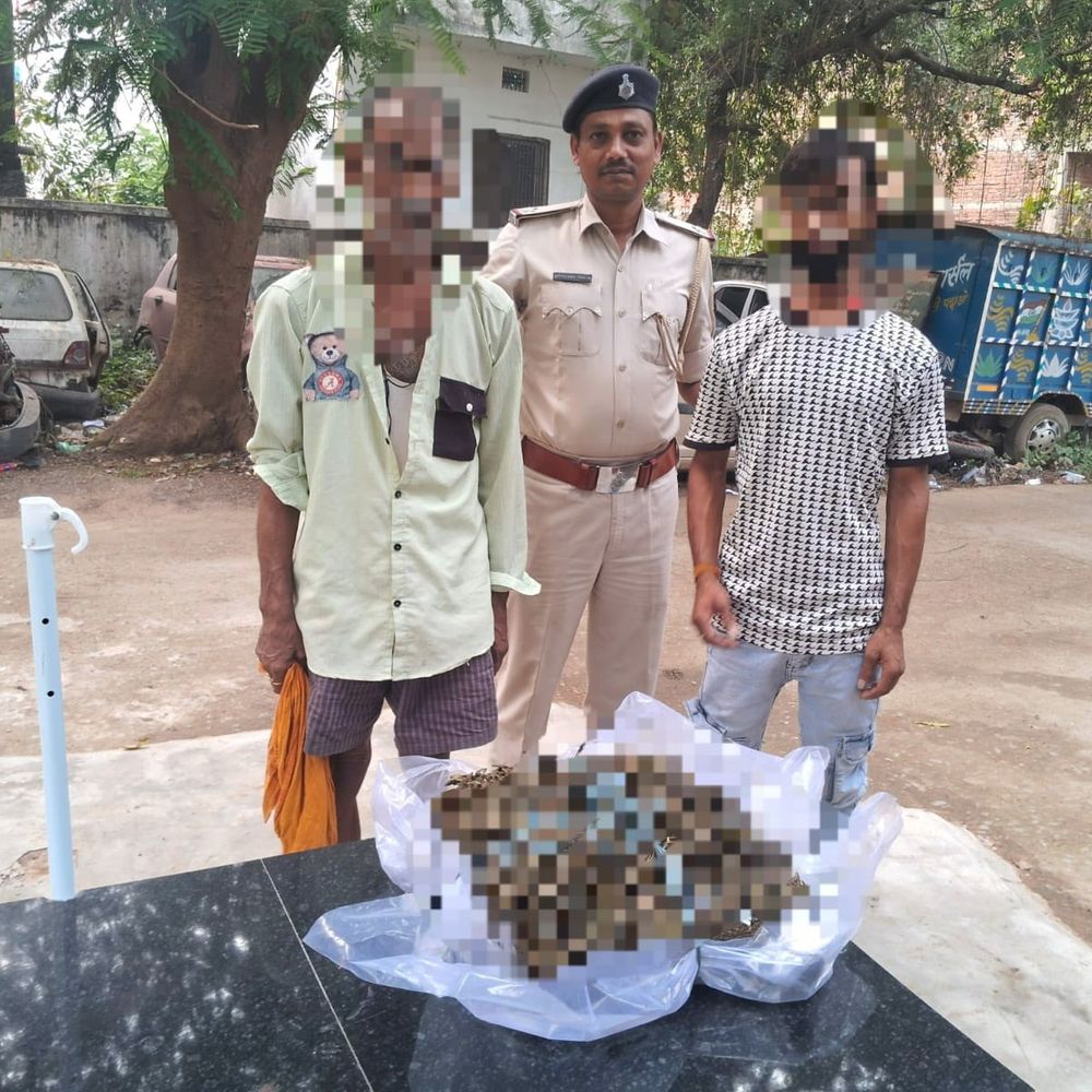 भोजपुर में 6.165 किलो गांजा बरामद:तेघरा गांव से पिता-पुत्र गिरफ्तार, NDPS एक्ट के तहत मामला दर्ज; नेटवर्क खंगाल रही पुलिस