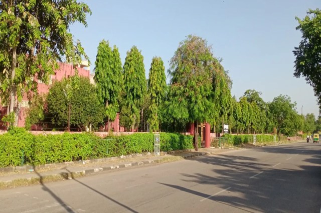 Rajasthan Weather : दीपावली के बाद आज सवेरे जयपुर में मौसम का मिजाज नजर आया ठंडा, बढ़ेगा सर्दी का जोर