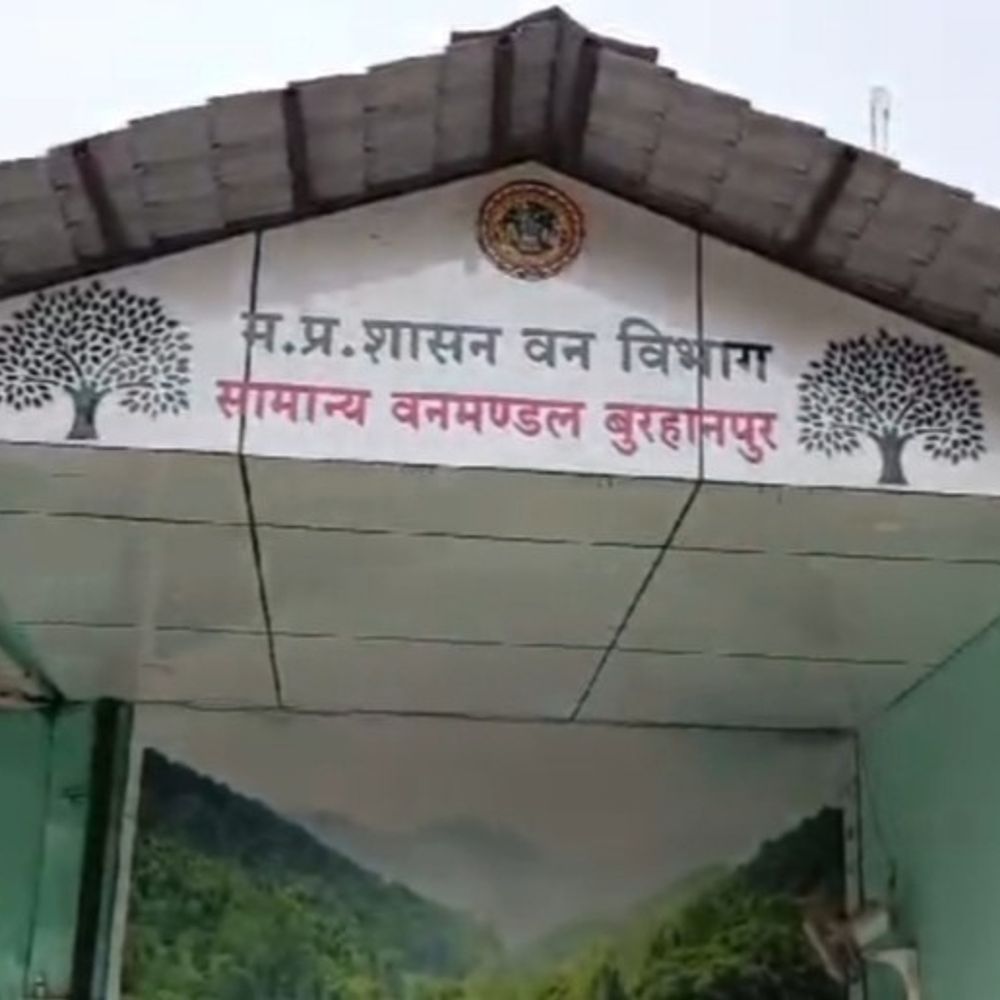 बिना काम कराए 1.57 लाख के बिल लगाए:बुरहानपुर में डीएफओ ने दो वनपालों को किया निलंबित
