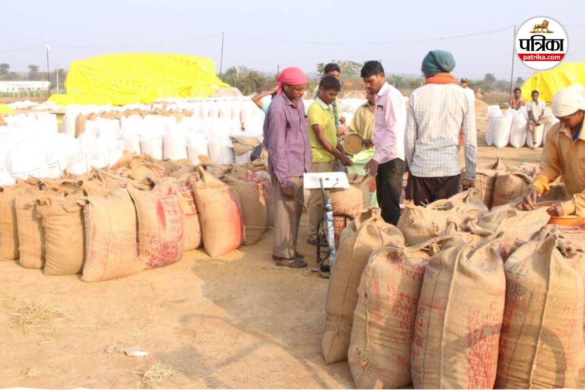 धान खरीदी केंद्रों में नई भर्ती को लेकर बवाल! शासन ने होल्ड किया प्लेसमेंट एजेंसी का आदेश