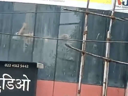 मुंबई बंधक मामला- 8 कमांडो का 35 मिनट में ऑपरेशन:17 बच्चे बचाए, आरोपी की आग लगाने की धमकी, जवाबी फायरिंग; अस्पताल में मौत