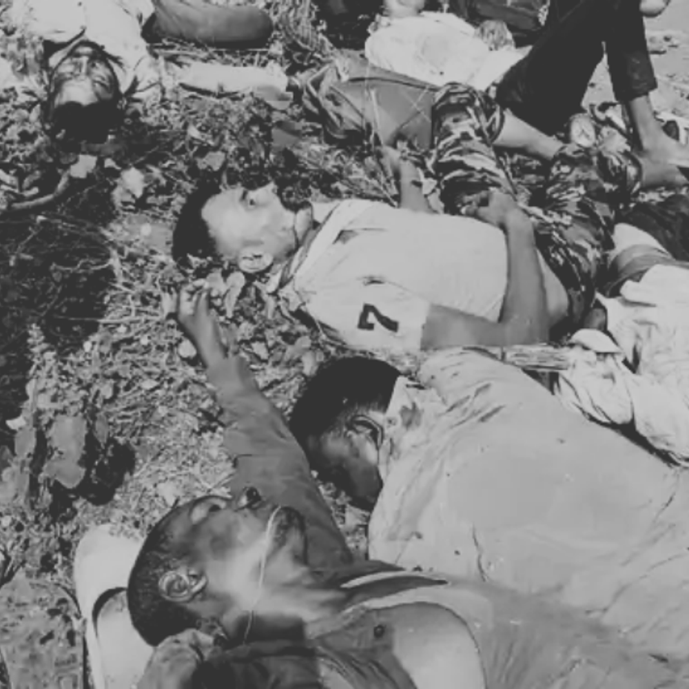 महाराष्ट्र में श्रद्धालुओं से भरी गाड़ी चंदशैली घाट में गिरी:8 की मौत, गाड़ी में 15 से ज्यादा लोग सवार थे; कई अस्पताल में भर्ती