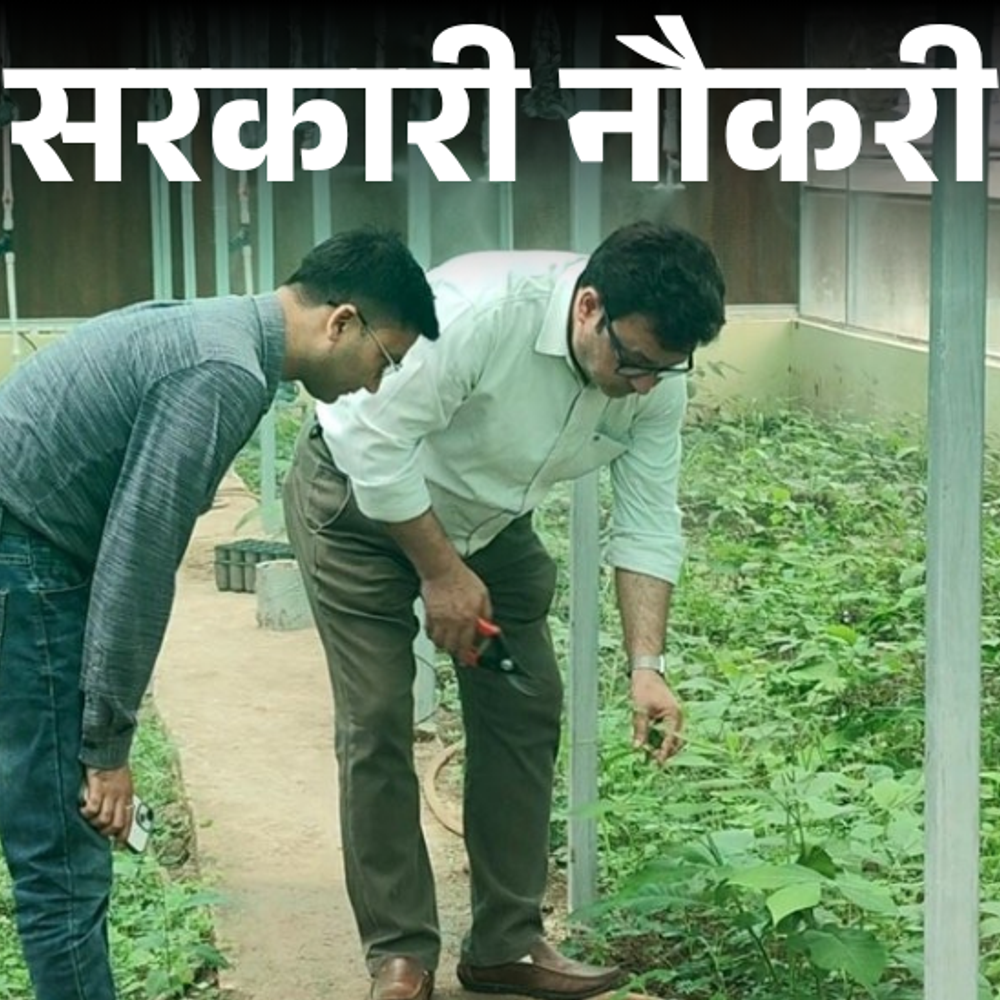 सरकारी नौकरी:पंजाब में HDO के 101 पदों पर निकली भर्ती; एज लिमिट 37 साल, सैलरी 44 हजार से ज्यादा