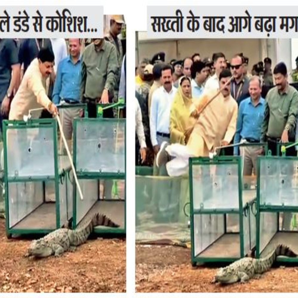 ओंकारेश्वर अभयारण्य की घोषणा कल संभव…:सीएम ने सुरक्षा जाली लांघकर नर्मदा में छोड़े मगरमच्छ