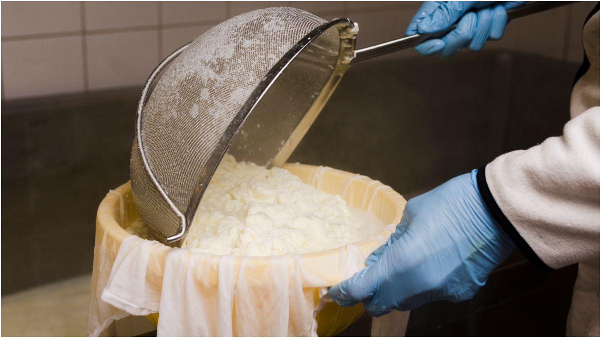 मिलावट बहुत हो रही है इसलिए घर में बना लें पनीर, 1 लीटर दूध में कितना पनीर बनता है, अपना लें ये तरीका