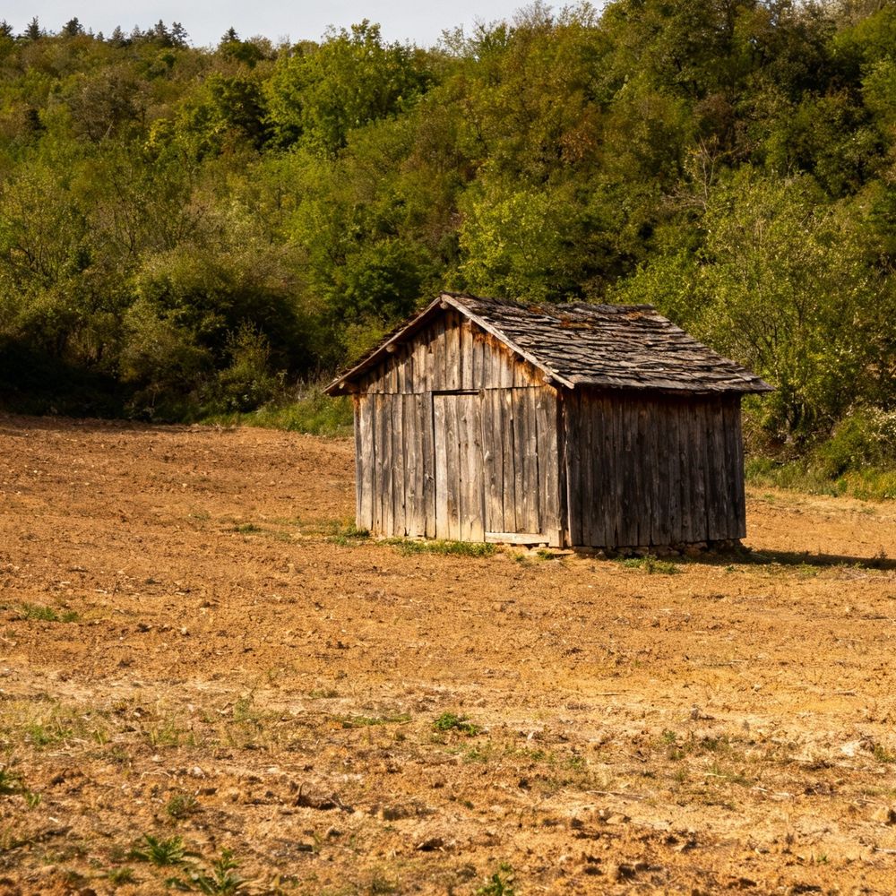 सरपंच के खिलाफ दर्ज हुआ ठगी का मामला:फार्म हाउस में इन्वेस्ट के नाम पर लिए 7.5 लाख, चेक भी बाउंस हुआ