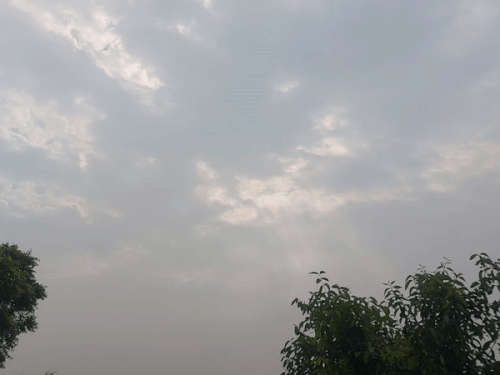 दौसा जिले में बारिश का अलर्ट:मौसम बदलने के साथ आसमान में बादल छाने से धूप नहीं निकली, न्यूनतम तापमान 12 डिग्री सेल्सियस