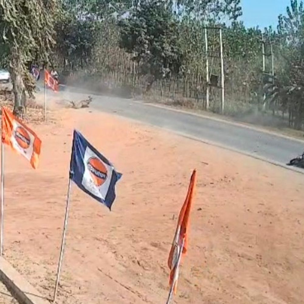 सहारनपुर में खेतों से निकलकर बाइक से टकराई नीलगाय:10 फुट हवा में उड़कर गिरी, 1 नीलगाय की मौत, 3 लोग घायल