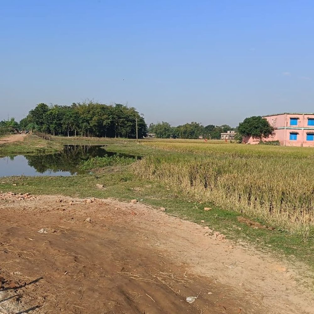 बैसाटोली में मुख्यमंत्री सड़क 8 साल से जर्जर:आवागमन की समस्या से जूझ रहे ग्रामीण, पुल निर्माण की मांग