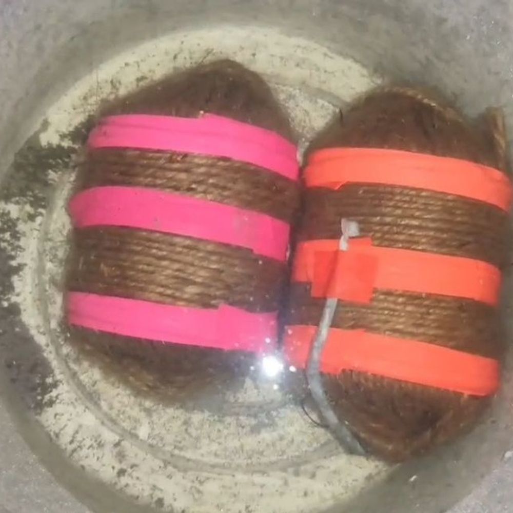 धनबाद में बंद से घर चार जिंदा बम बरामद:सात नंबर इलाके में मचा हड़कंप, शक के आधार पर एक व्यक्ति हिरासत में लिया गया