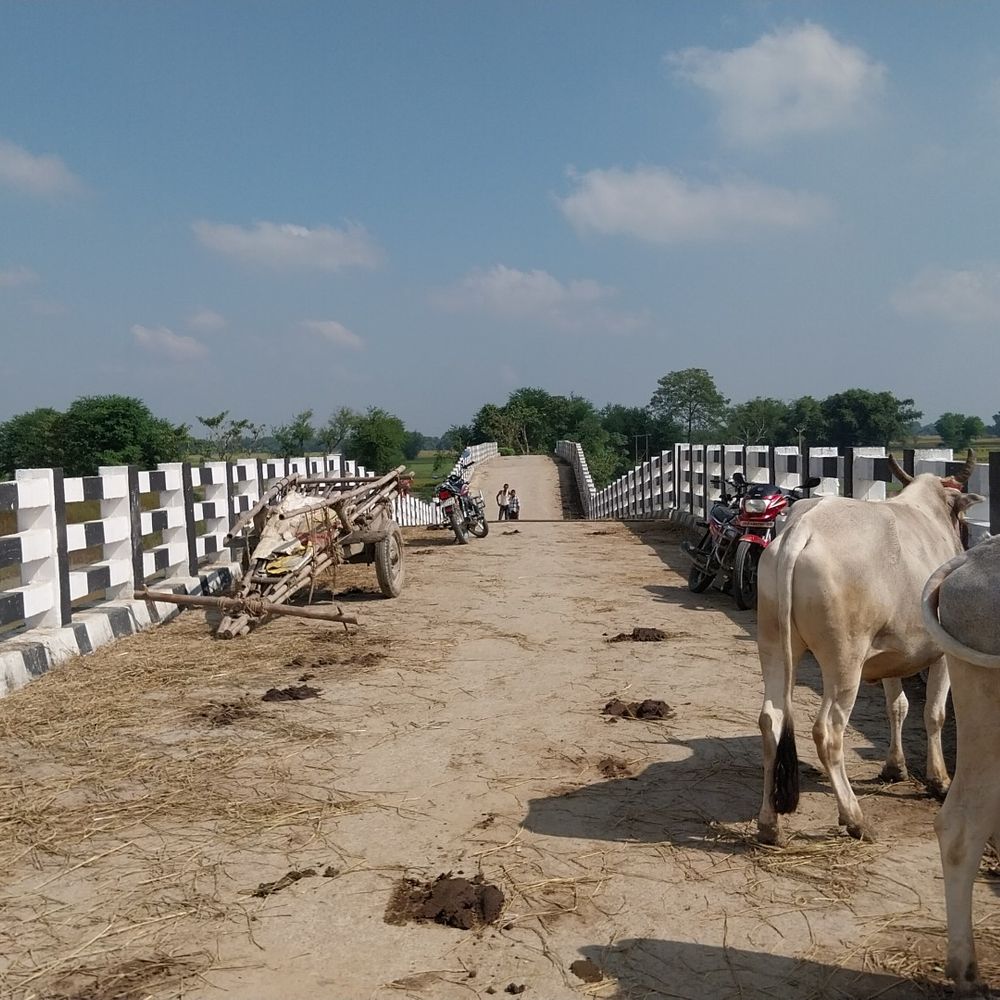 अररिया में 6 साल पुराना पुल धंसा:3.80 करोड़ की लागत से बना था, कई गांवों का संपर्क कटा