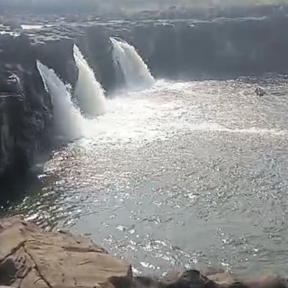 पिकनिक मनाने गई छात्राएं डूबीं, एक का शव मिला:जबलपुर के भदभदा स्पॉट पर चार छात्राएं गईं थी, दो डूबीं, दो डरकर घर लौट आईं