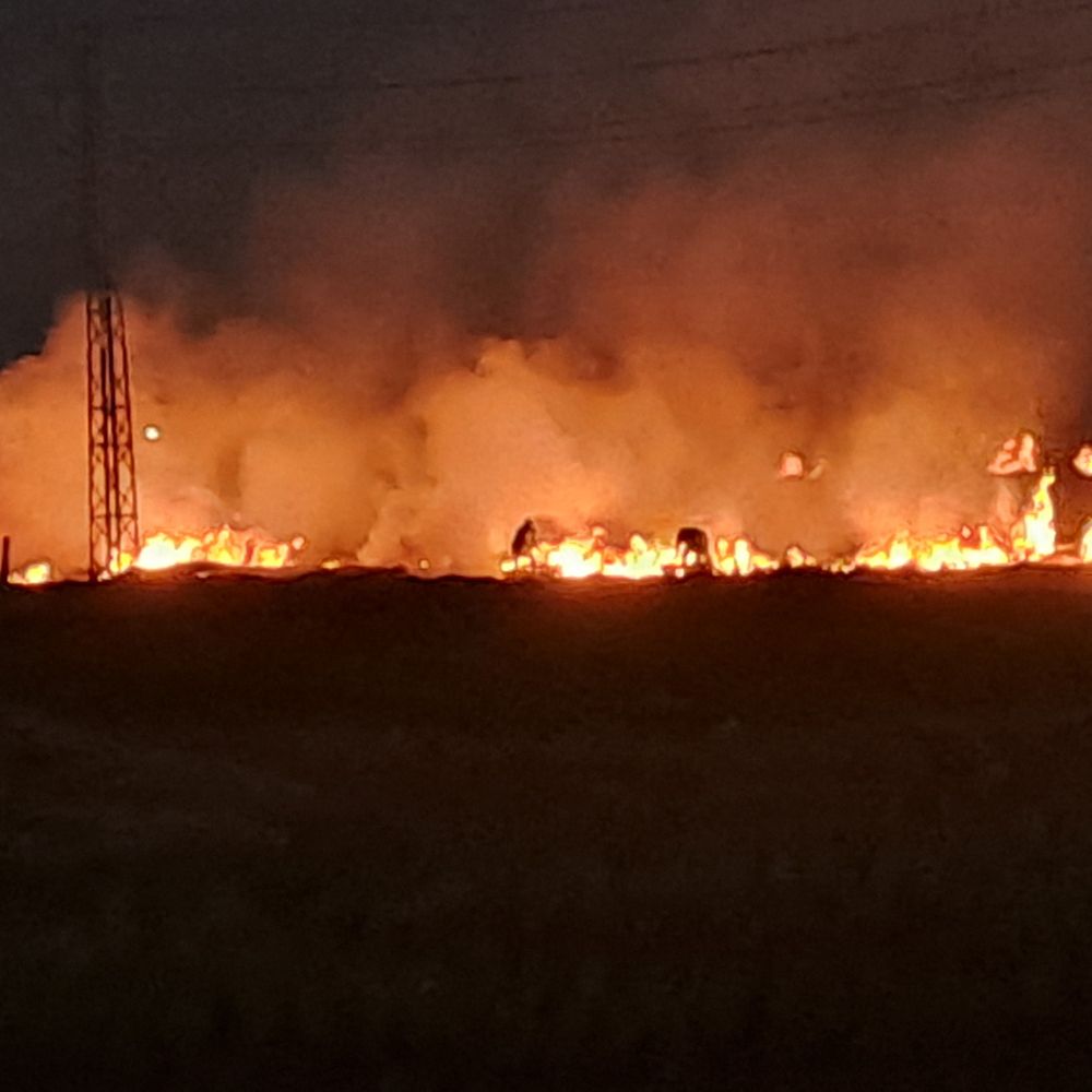 हिसार में धान की पराली में लगाई आग:प्रशासन ने 2 किसानों पर कराई FIR दर्ज; ₹5000 का चालान थमाया