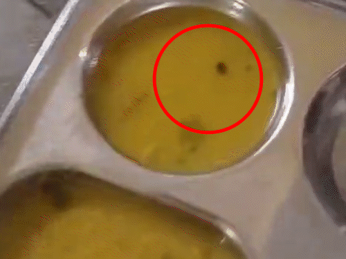 सहरसा इंजीनियरिंग कॉलेज में खाने में मिले कीड़े:प्रिंसिपल बोले-जिनकी थाली में कीट, वे खाना न खाएं, छात्रों ने काटा हंगामा; मैस बंद