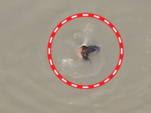 मिर्जापुर में मां ने डांटा बेटी गंगा में कूदी, VIDEO:बेटी को खाना बनाने के लिए कहा, न बनाने पर डांटा; नाविको ने बचाया