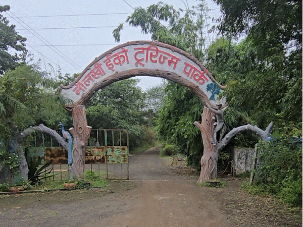 सिंहस्थ-2028 से पहले उज्जैन में दिखेंगे शेर और जिराफ:अनंत अंबानी के वनतारा प्रोजेक्ट के साथ बनेगा अंतरराष्ट्रीय स्तर का सफारी, जू; टीम ने किया सर्वे