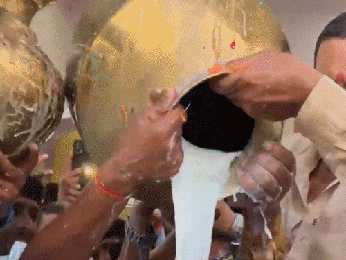 कुचायकोट विधायक पप्पू पांडेय को समर्थकों ने दूध से नहलाया:चुनावी जनसंपर्क के दौरान वैदिक मंत्रोच्चार के साथ हुआ दुग्धाभिषेक, कंधों पर बैठाकर कराया भ्रमण