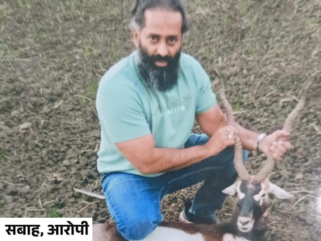 मुंबई से पकड़ाए काले हिरण के शिकारी ने किए खुलासे:रईस और पॉलिटिकल परिवारों में करते थे मांस सप्लाई; शिकारियों ने स्वीडन से मंगवाई 50 लाख की बंदूकें