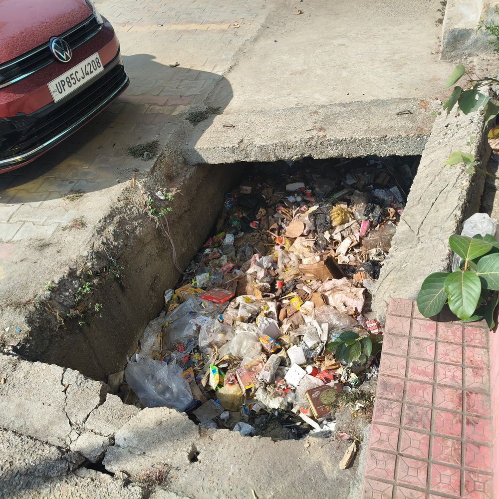 मथुरा में गंदगी के ढेर:गोवंश कूड़े में भोजन तलाशते दिखे, स्वच्छता रैंकिंग पर उठे सवाल