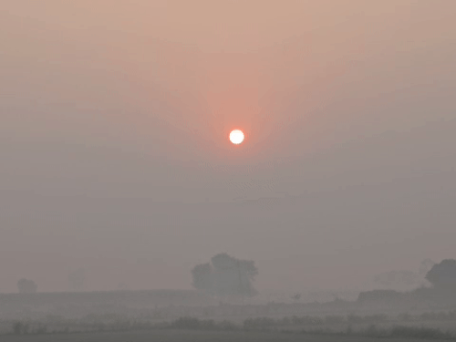 हरियाणा के 8 शहरों में 10°C से कम तापमान:सुबह और रात के समय हल्की धुंध छाएगी, 23 नवंबर तक शुष्क रहेगा मौसम