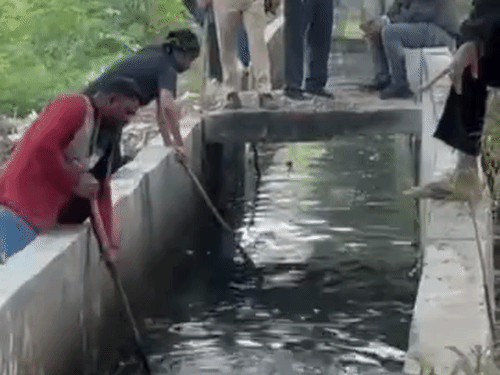 यूपी की बड़ी खबरें:नोएडा में कटे सिर की तलाश में नाला खाली किया, अब तक नहीं मिली पहचान