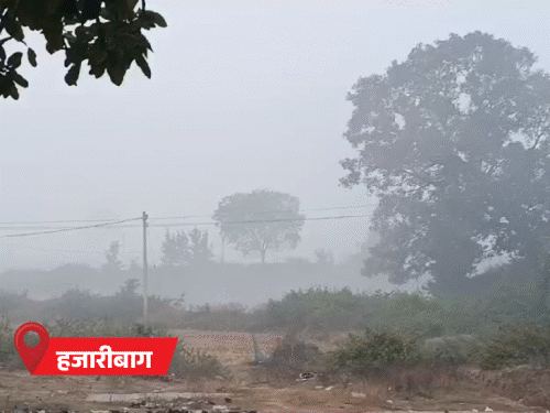 झारखंड में पांच दिन रहेगा साफ आसमान:दिन में खिली रहेगी धूप, रातें होंगी ठंडी, दो से तीन डिग्री तक गिरेगा तापमान