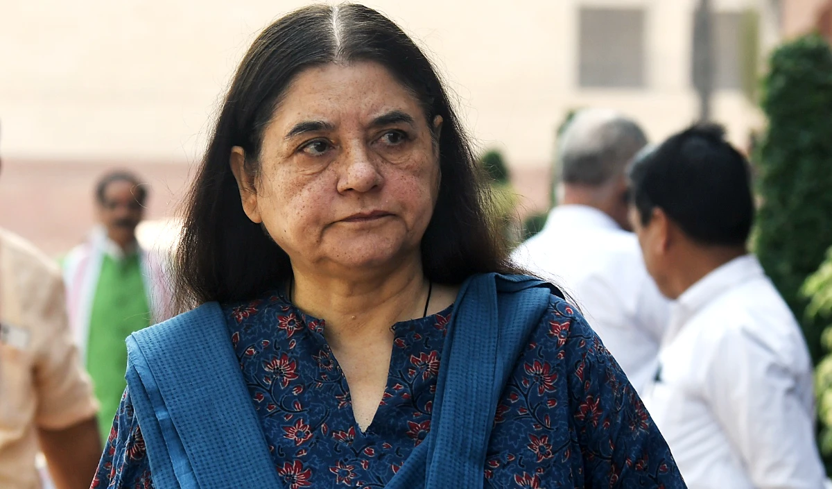 SC के आदेश पर मेनका गांधी का सवाल: 8 लाख आवारा कुत्ते कहाँ रखेंगे, आश्रयस्थल कहाँ हैं?