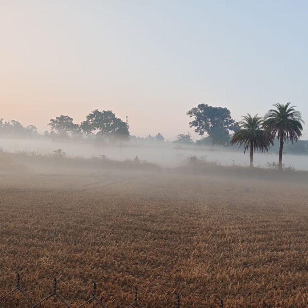 पेंड्रा-अमरकंटक में न्यूनतम तापमान 5 डिग्री:इलाका शीतलहर की चपेट में, जनजीवन प्रभावित