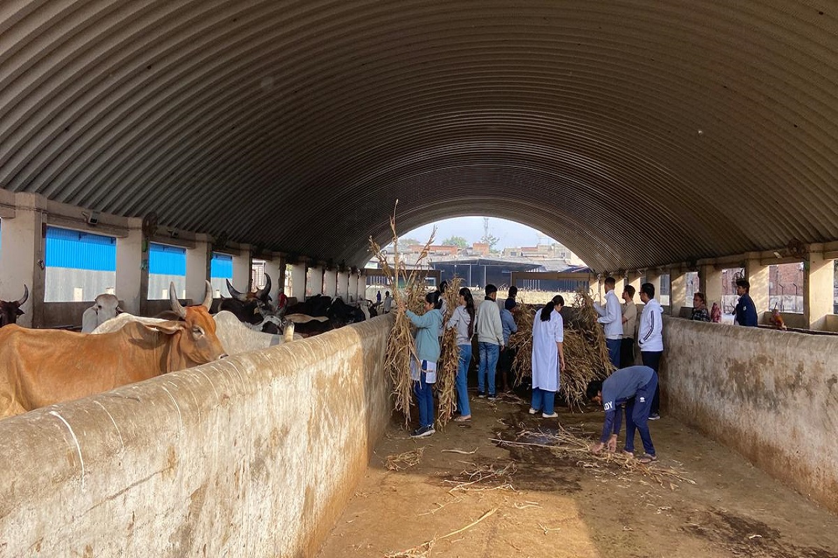 करुणा मंदिरों और श्वान शेल्टर में व्यवस्थाएं देखीं