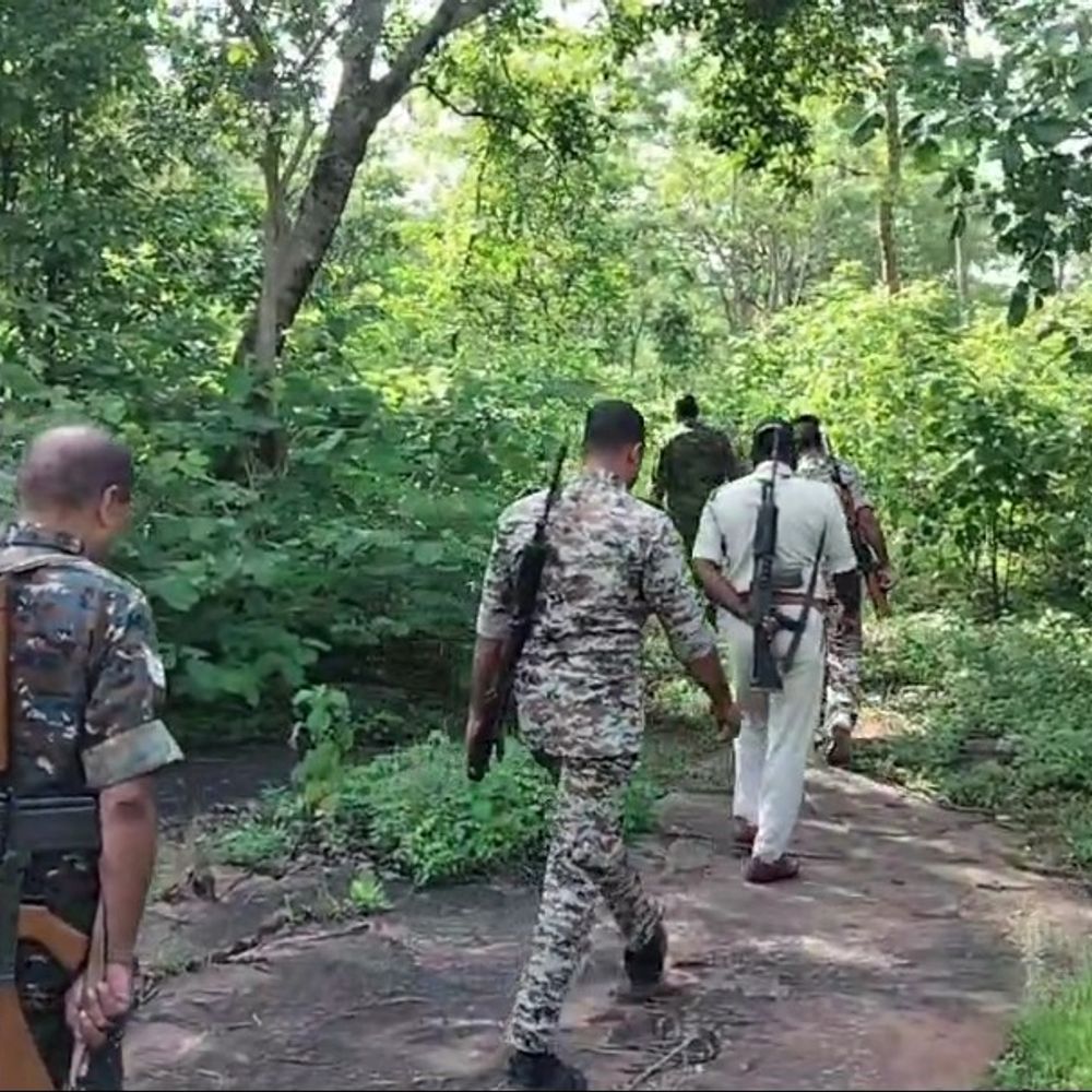 एमपी-यूपी बॉर्डर पर चरवाहों पर हमला, 26 बकरियां लूटी:चित्रकूट से सटे इलाकों में पुलिस अलर्ट, बदमाशों की तलाश जारी