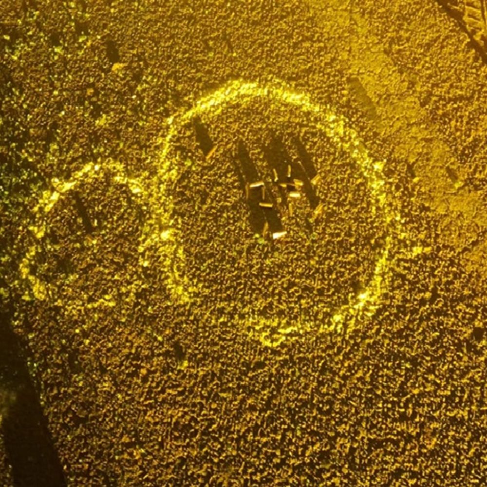 रोहतक में शराब के ठेके पर फायरिंग:एक युवक को लगी गोली, 30 से अधिक राउंड हुए फायर