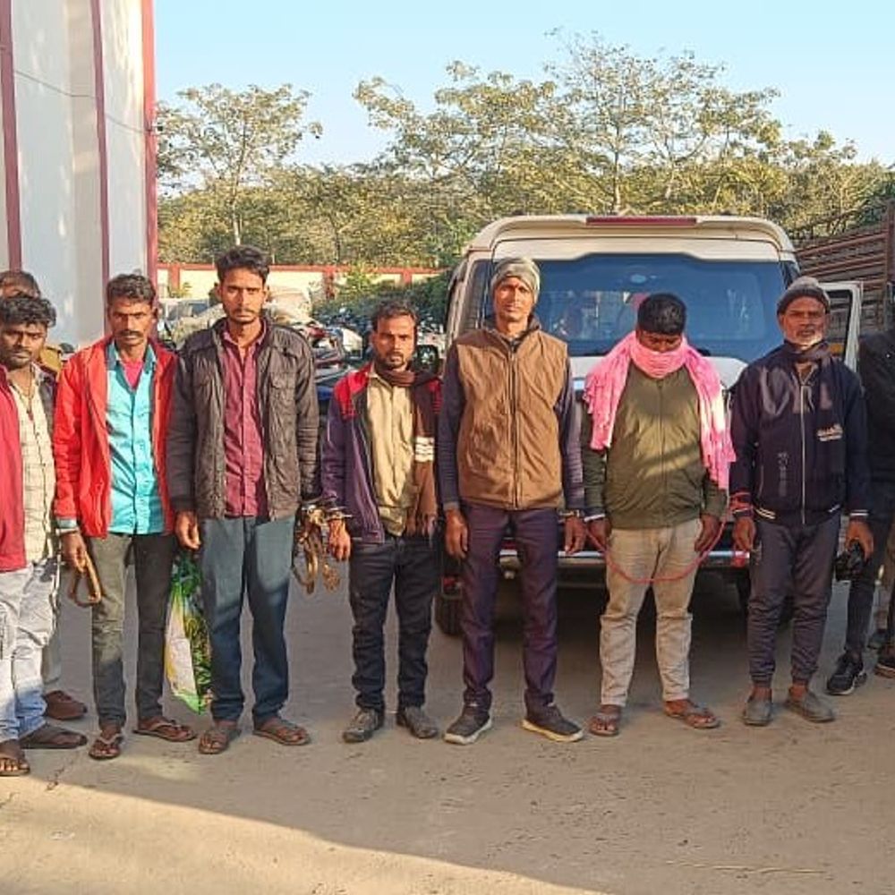 अररिया में उत्पाद विभाग की बड़ी कार्रवाई:ड्रोन से 6830 किलो जावा महुआ नष्ट, 11 लोग गिरफ्तार