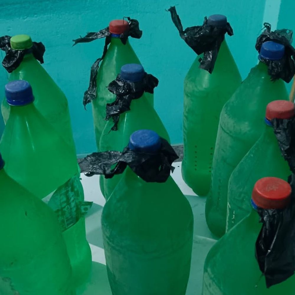 20 लीटर देसी शराब के मोटर साइकिल जब्त:सन्हौला थाना पुलिस ने की कार्रवाई, शराब तस्कर मौके से फरार