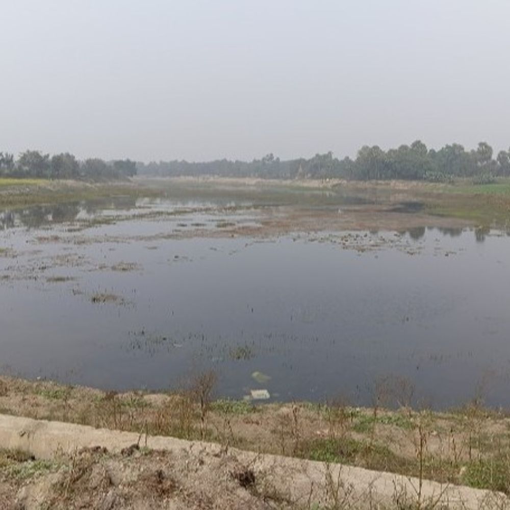 मुक्तापुर मोईन पर मनेगा नए साल का जश्न:56 एकड़ में फैला है क्षेत्र, पर्यटन स्थल के रूप में किया जा रहा विकसित