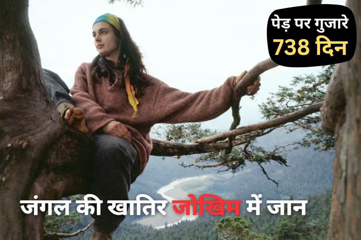 Aravalli से याद आया अनोखा प्रदर्शन, जंगल बचाने के लिए 738 दिन पेड़ पर रहीं Julia Butterfly Hill