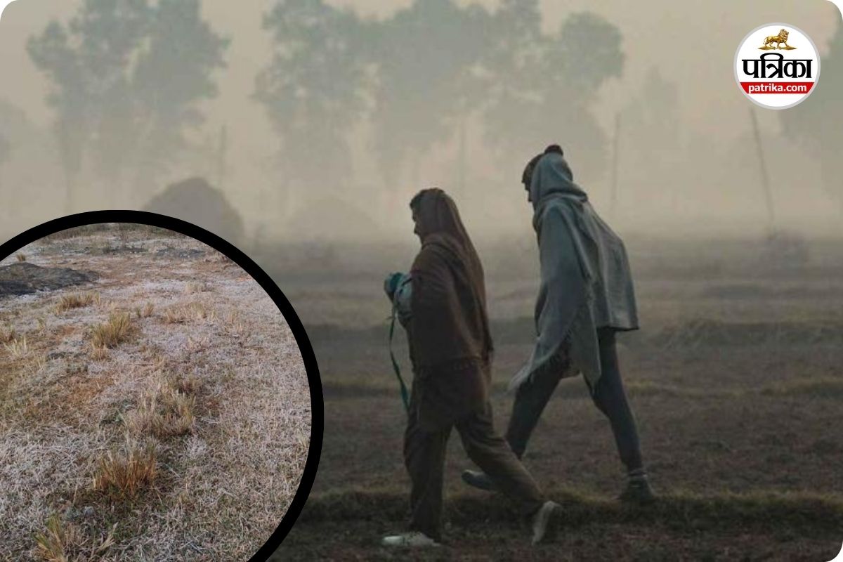 Chhattisgarh cold wave: राज्य में ठंड का कहर जारी! सफेद चादर में ढका इलाका, कई जिलों में शीतलहर की चेतावनी