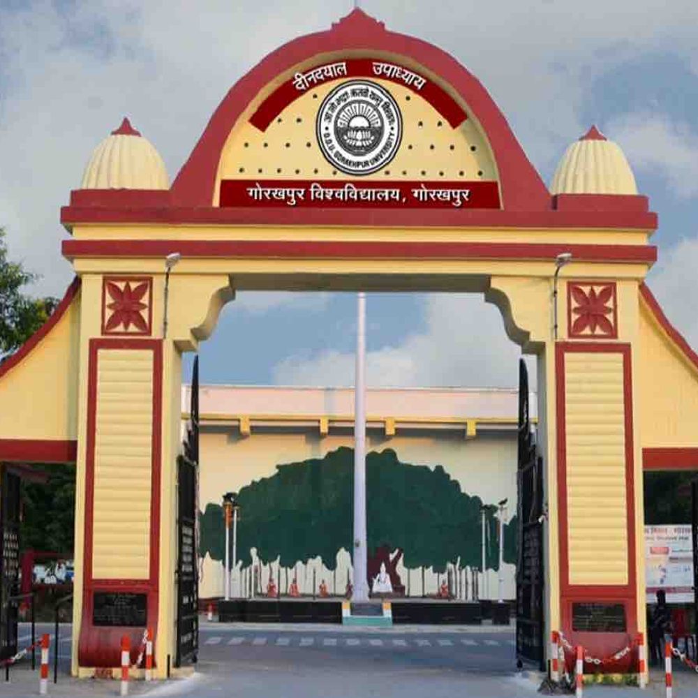 DDU में 28 दिसंबर को होगी बीकॉम-BA परीक्षा:दोपहर 2 से 3.30 बजे तक होगी परीक्षा, छात्रों को बदली तिथि पर शामिल होने के निर्देश