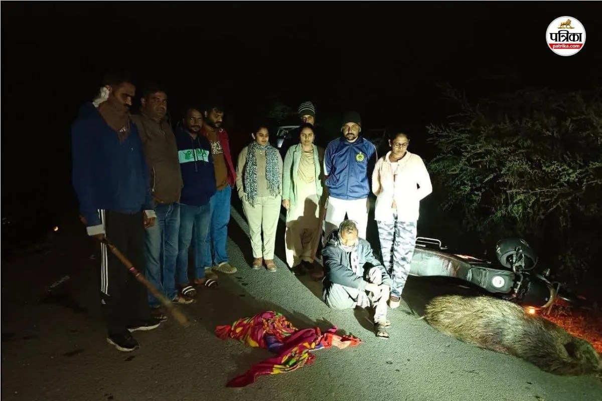 Dungarpur News : डूंगरपुर में पैंथर के बाद अब जंगली सूअर का शिकार, एक गिरफ्तार, 5 फरार