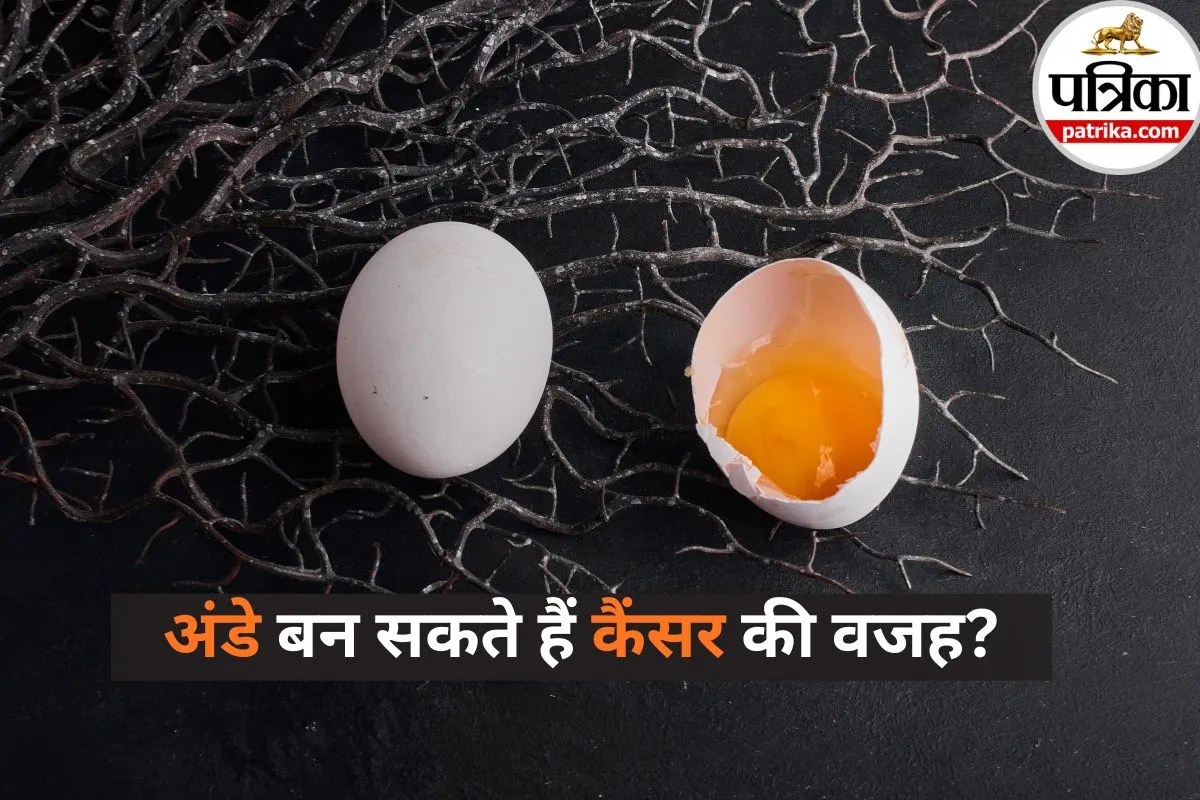 Eggs cancer risk: अंडे खाने से कैंसर का दावा? जानिए क्या है इसमें केमिकल का सच, FSSAI ने खोला राज