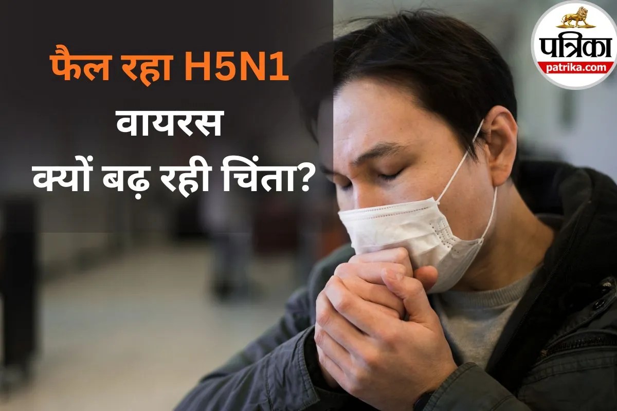 H5N1 बर्ड फ्लू का खतरा बढ़ा! WHO अलर्ट, जानिए ये वायरस कैसे बन सकता है जानलेवा