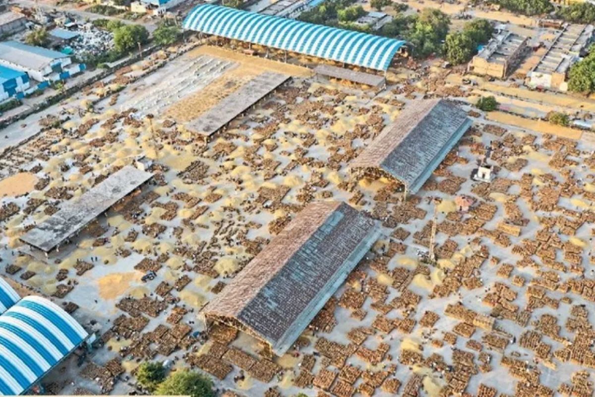 Kota Mandi Bhav : सोयाबीन, धान व लहसुन तेज, चना मंदा