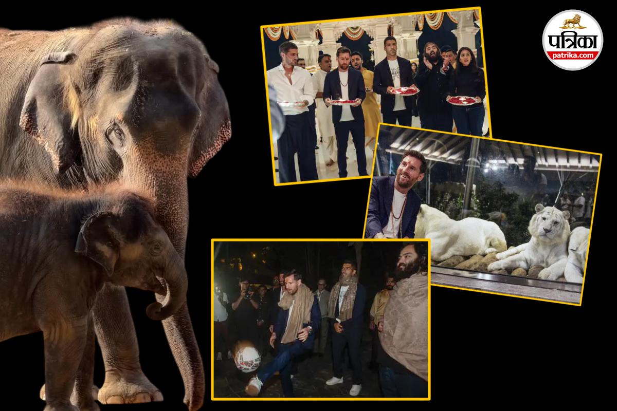 Messi Vantara Visit: मेसी की आरती से चर्चा में आया वनतारा, हाथियों को मिलता है जकूजी बाथ, जानिए देखभाल पर करोड़ों का खर्च