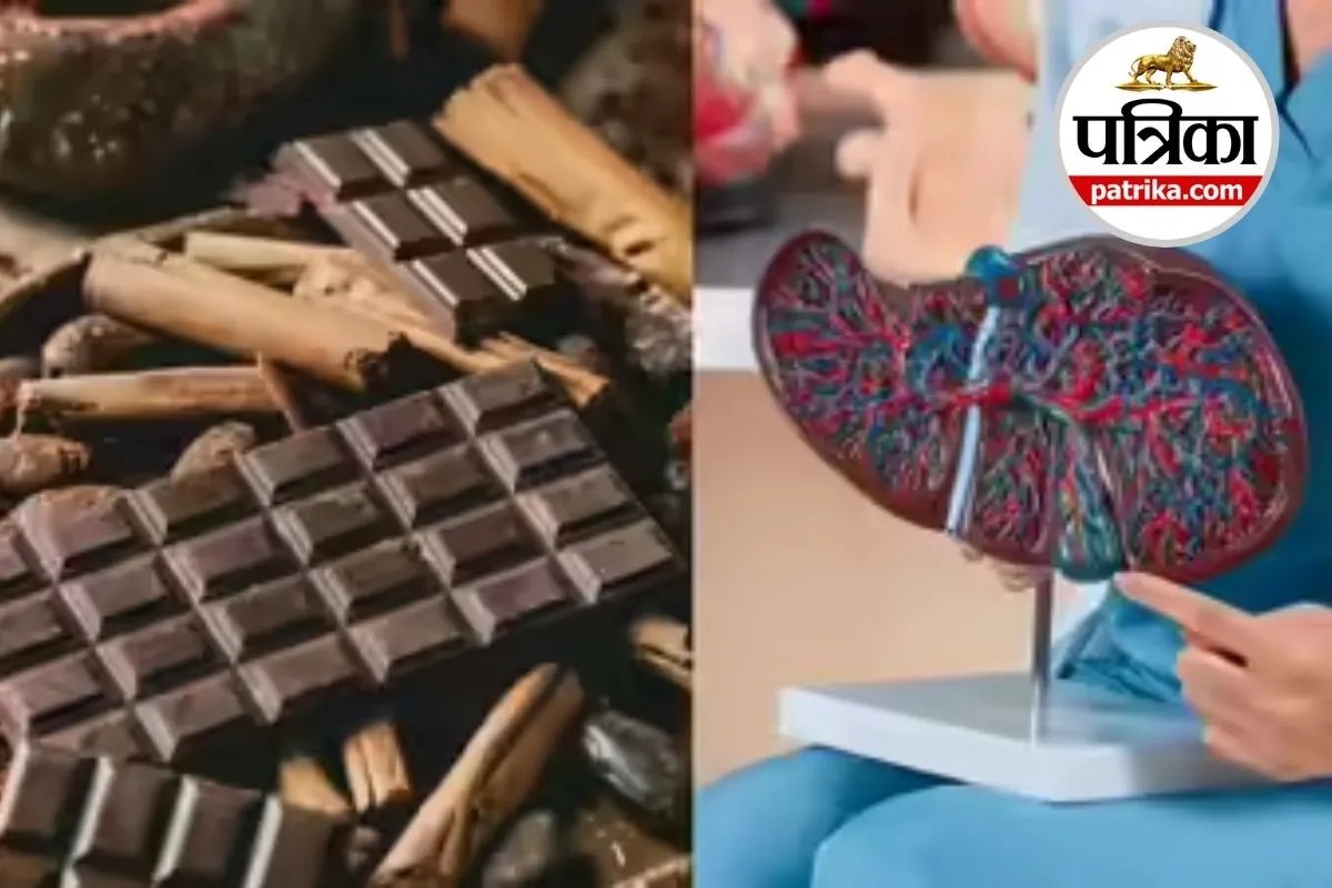 Chocolate For Liver: क्या रोज चॉकलेट खाने से लिवर रहेगा हेल्दी? फैटी लिवर पर इसका असर जानिए