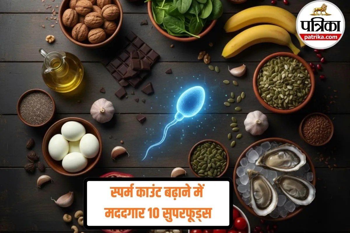 Sperm Count Food: पुरुषों की फर्टिलिटी बढ़ाने वाले 10 फूड्स, जो नेचुरली बढ़ा सकते हैं स्पर्म काउंट
