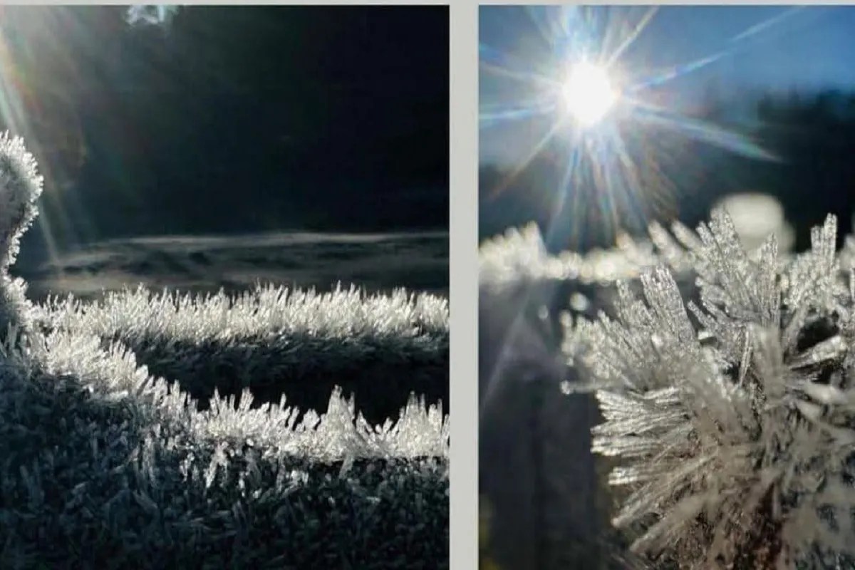 Nilgiri में माइनस 2 डिग्री तापमान, Ooty में बढ़े पर्यटक