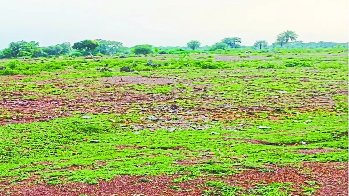 बालोद जिले का प्रयास विद्यालय तीन साल से दुर्ग में संचालित, जमीन तय पर राशि नहीं मिली