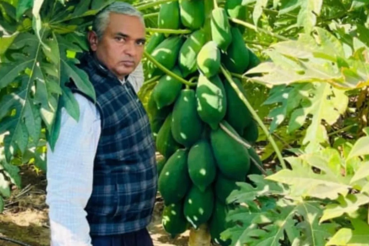 Success Story: राजस्थान के किसान ने किया कमाल, इस तरीके से उगाई फसल, अब लाखों में कर रहे कमाई